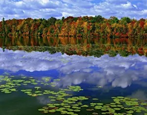 Dennis: Canada, Ontario. Autumn color reflects in