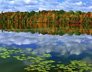 Haven: Canada, Ontario. Autumn-colored trees reflect