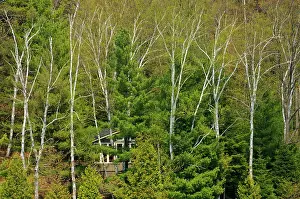 Hidden: Canada, Ontario, Dorset. Cottage hidden