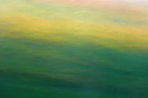 Ontario: Canada, Ontario, Horseshoe Lake. Abstract