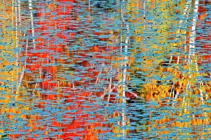 Mosaic: Canada, Ontario, Minden. Autumn-colored