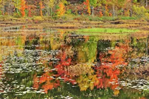 Ontario: Canada, Ontario, Minden. Reflection of autumn-colored