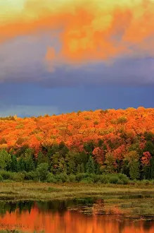 Ontario: Canada, Ontario, Oxtongue Lake. Colorful