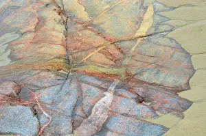 Coloration: Canada, Ontario. Sand and rock in Neys Provincial