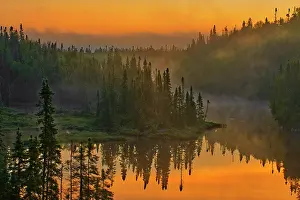 Schreiber: Canada, Ontario, Schreiber. Sunrise fog and forest