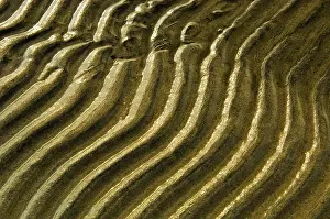 Undulating: Canada, Ontario, Wahnekewaning Beach. Ripples