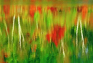 Worthington: Canada, Ontario, Worthington. Reflection