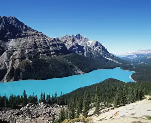 Peyto: CANADA - Peyto Lake