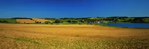 Edward: Canada, Prince Edward Island, View of field