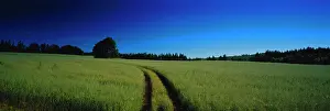 Edward: Canada, Prince Edward Island, View of field