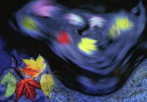 Delisle: Canada, Quebec. Autumn leaves swirl on small