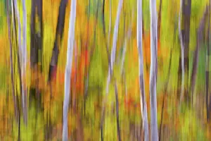 Delisle: Canada, Quebec. Blur of autumn colors in