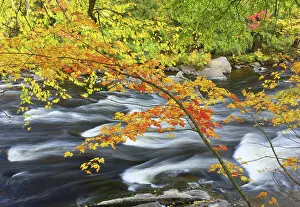 Delisle: Canada, Quebec, Laurentian Mountains, Riviere