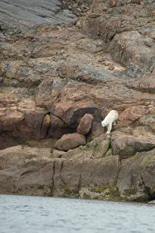 Baffin: Canada, Quebec, Lower Savage between Frobisher