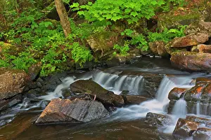 Tremblant: Canada, Quebec, Parc National du Mont-Tremblant