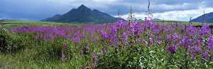Yukon: Canada, Yukon Territory, Ogilvie Mountains