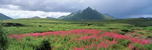 Yukon: Canada, Yukon Territory, Ogilvie Mountains