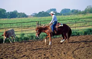 Cattleman: Canadian Cutting Horse - herding Cattle