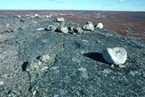 Cambrian: Canadian Shield Rock