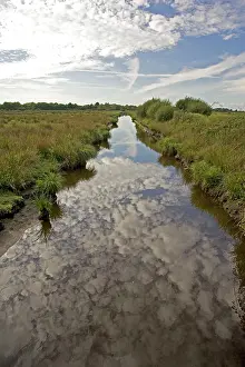 Canals: Canal in marshy wetlands