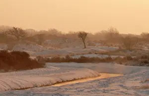 Waterleidingduinen: Canal in snowy landscape on a cold winter morning