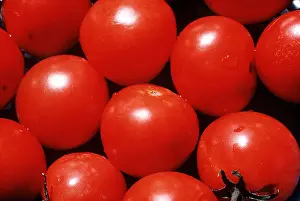 Tomato: CANARY ISLAND TOMATOES