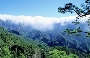 Canariensis: CANARY ISLANDS - the tradewinds carry the clouds