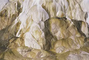 Mammoth: Canary Spring, Yellowstone