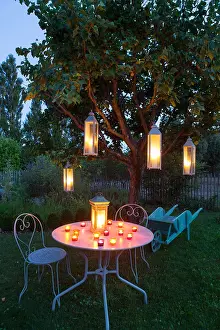 Lantern: Candles in a garden by night Le potager la nuit