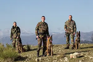 Herding: Canine Crew Mounted Police GIC06 - France