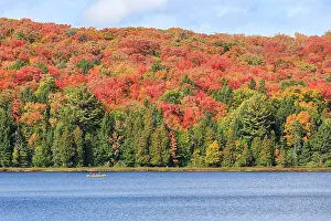 Blaze: Canisbay Lake in Autumn, Canoeist, Indian Summer