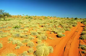 Canning: Canning Stock Route Sandy Desert