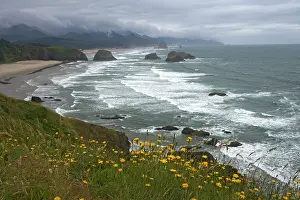 Cannon: Cannon Beach and Sea Stacks from Ecola State Park