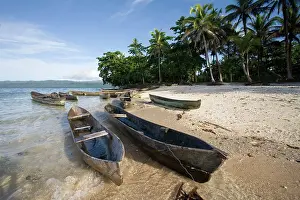 Canoes: Canoes and Coconut Palms