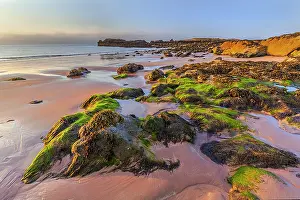 130319: Canty Bay - low evening light on sandy beach and