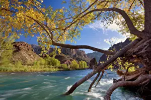 Atuel: Canyon de Atuel - Atuel river flows through Atuel