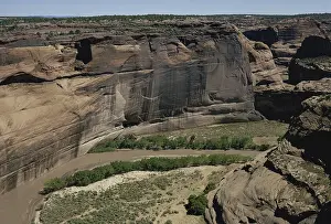Permian: Canyon de Chelly, Arizona