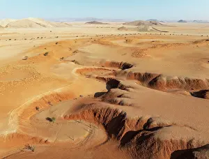 Gorge: Canyons, arid plains grown with camelthorn trees (Vachellia erioloba)