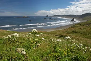 Blanco: Cape Blanco