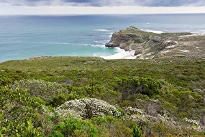 Hope: Cape of Good Hope. with wind-blown fynbos - view