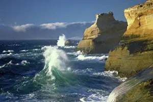 Crashing: Cape Kiwanda State Park, OR