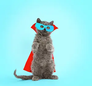 Mask: Cat