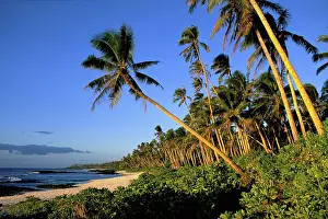 Peebles: Cape Mulinuu, Savaii, Samoa beach