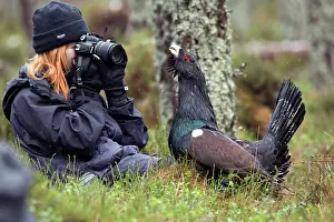 Photographers: Capercaillie - and photographer