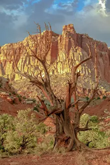 Southwest: Capitol Reef National Park