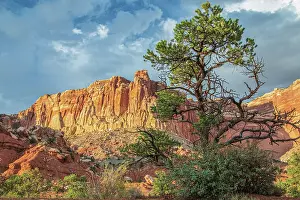 Southwest: Capitol Reef National Park