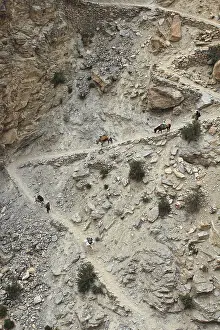 Bends: Caravan on a mule track mountainside India