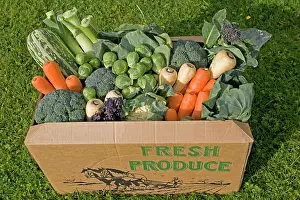 Sprouts: Cardboard box of fresh locally grown vegetables