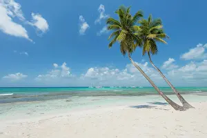 Dominican: Caribbean Beach, Dominican Republic, Central America
