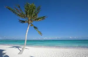 Lonesome: Caribbean beach, near Playa del Carmen, Quintana